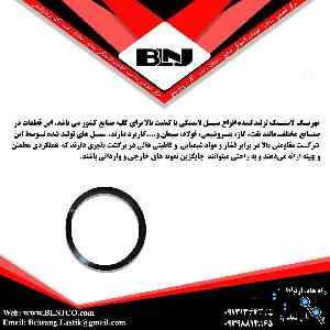 سیل لاستیکی