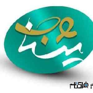 خدمات حرفه‌ای طراحی سایت و سئو
